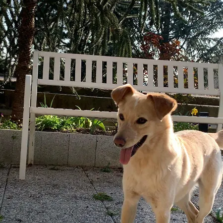 Castello Della Bastia *