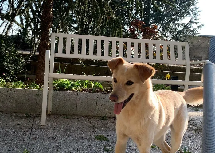 Castello Della Bastia *