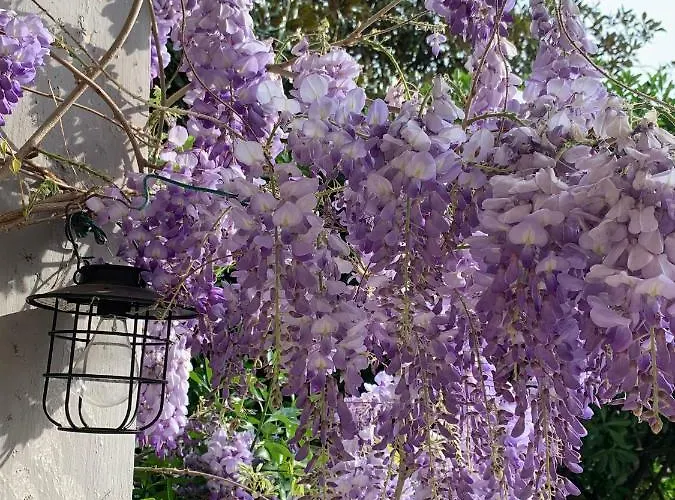 Castello Della Bastia