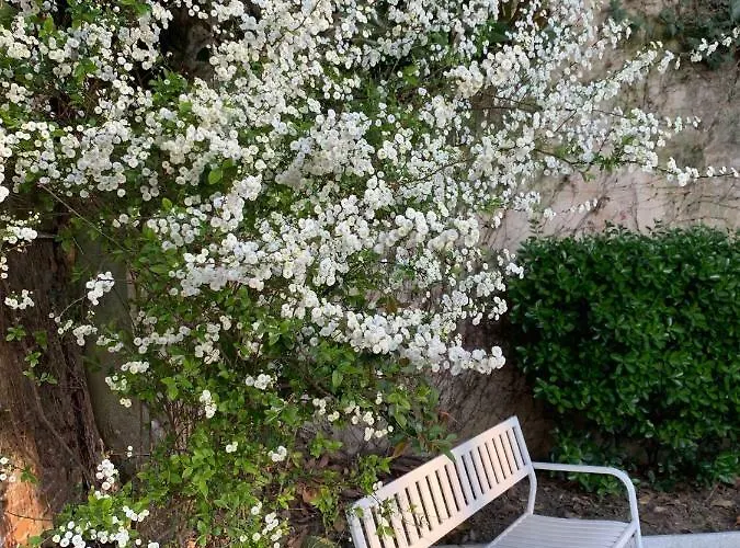 בית הארחה Castello Della Bastia